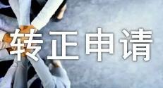 高中入團轉正申請書