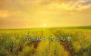 經(jīng)典一句話語錄:有些話只想說給自己聽