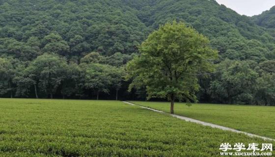 安吉百草園旅游攻略 浙江安吉百草園景點(diǎn)介紹