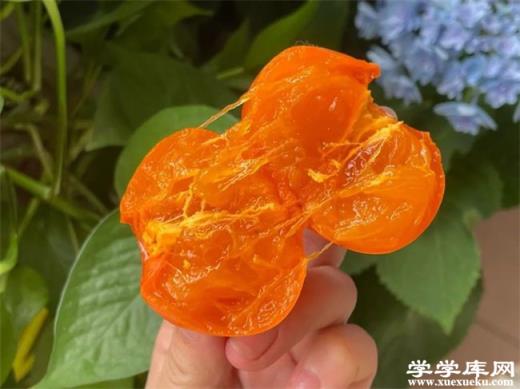 杭州有哪些特色水果 杭州的特產