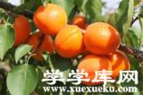 吉林有哪些特色水果 吉林的特產(chǎn)