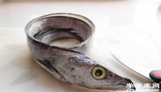 帶魚的營養(yǎng)價(jià)值 帶魚的營養(yǎng)價(jià)值和禁忌