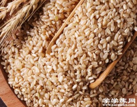 糙米要泡多久才能煮飯 3-4小時左右視情況而定