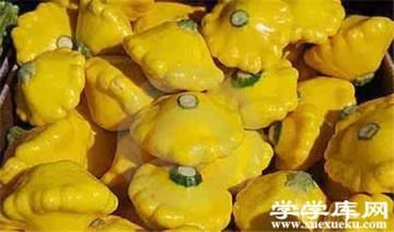 很多飛碟瓜