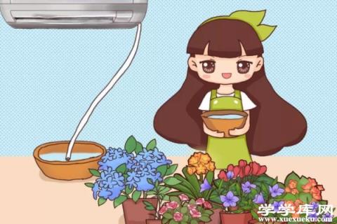 家家都有的廢水，竟是養花萬能水，養啥旺啥！