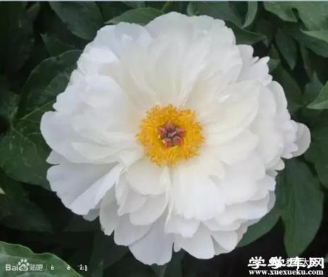 迷你