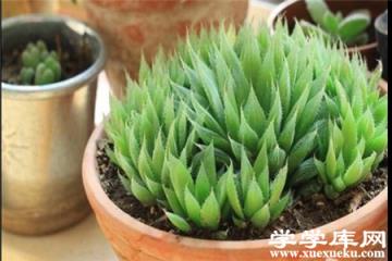 沒有毒 放心養(yǎng)